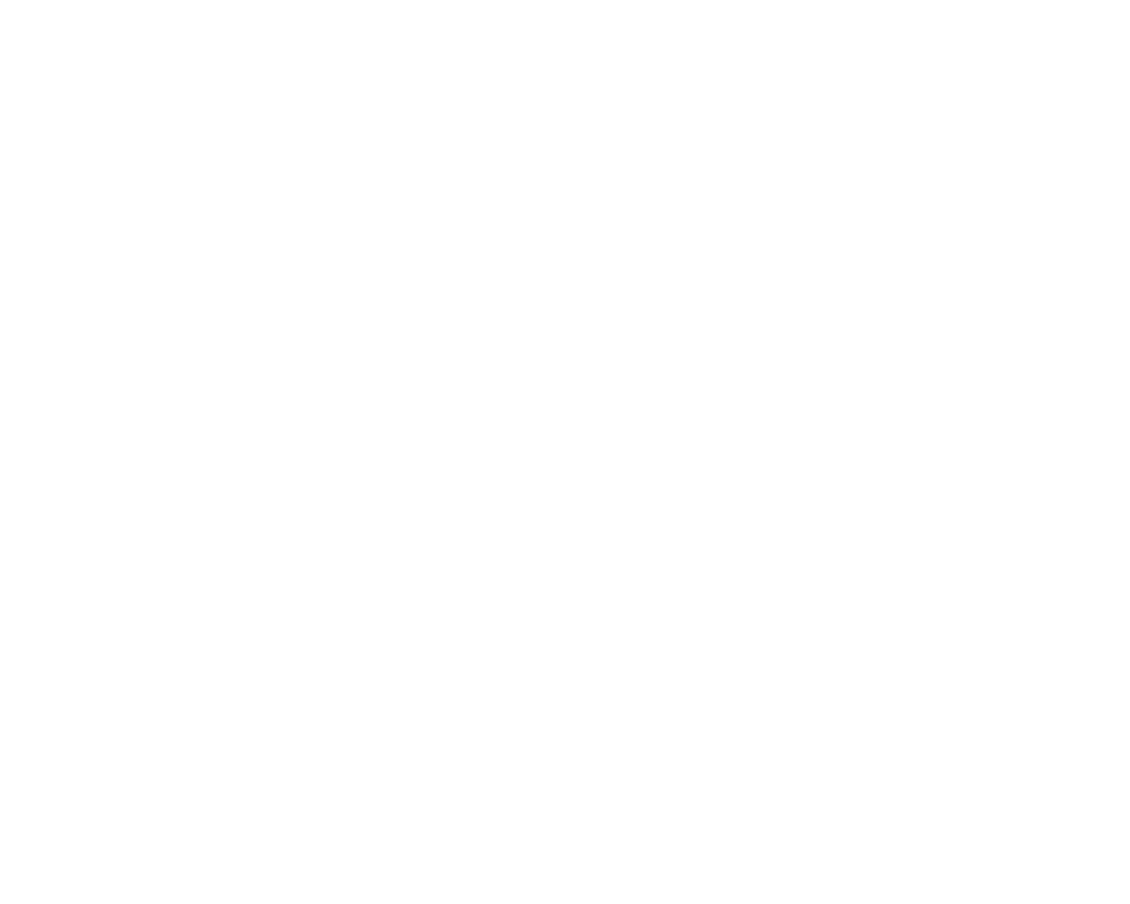 BMW Foundation Herbert Quandt Logo White
